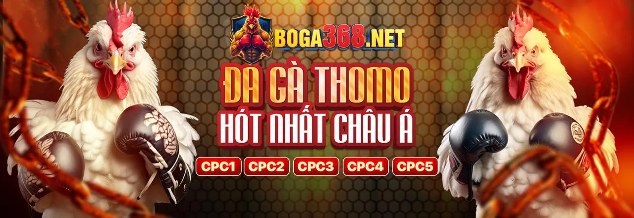 Các lựa chọn giải trí phong phú tại h11uu